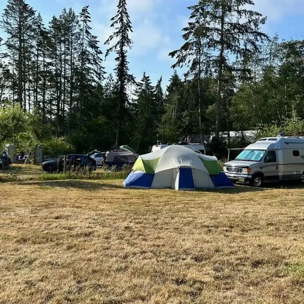 Campsites beside Hamilton Cove