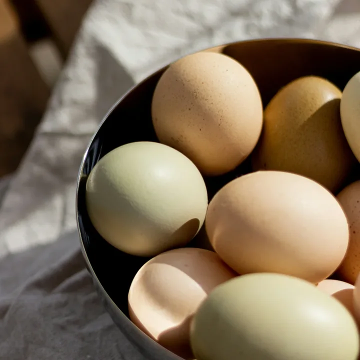 Fresh eggs