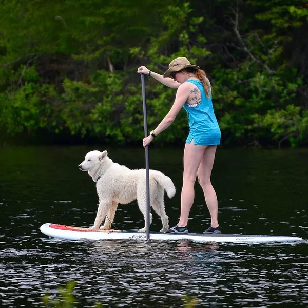 Paddleboarding on calm coastal water